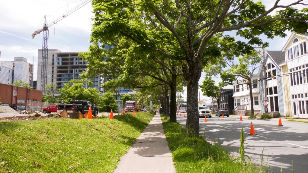 N.S. news: Bike lane building sparks problem for backyard garden